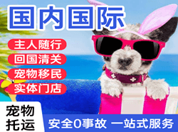 敦煌空运代理国际宠物托运 【国